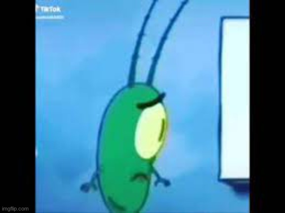 Wtf did plankton see Blank Meme Template