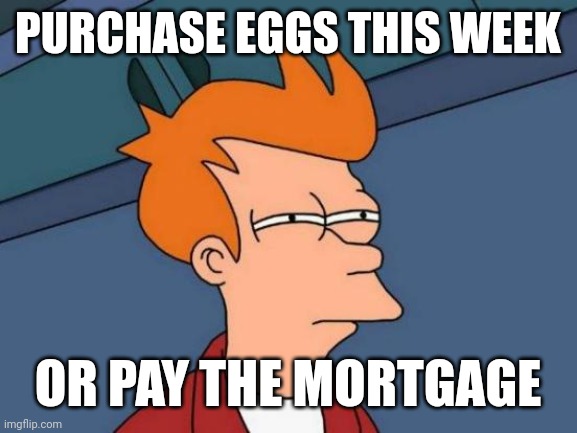 Futurama Fry | PURCHASE EGGS THIS WEEK; OR PAY THE MORTGAGE | image tagged in memes,futurama fry | made w/ Imgflip meme maker