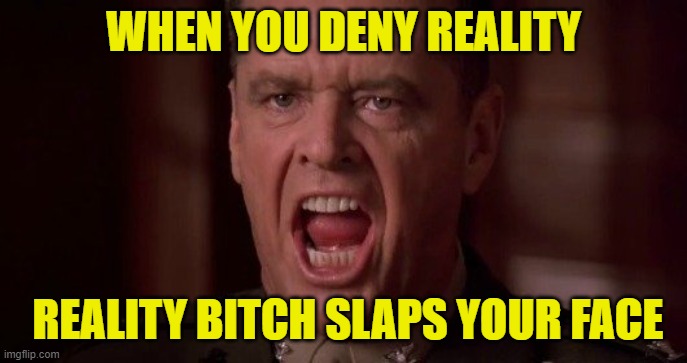 you-cant-handle-the-truth | WHEN YOU DENY REALITY REALITY BITCH SLAPS YOUR FACE | image tagged in you-cant-handle-the-truth | made w/ Imgflip meme maker