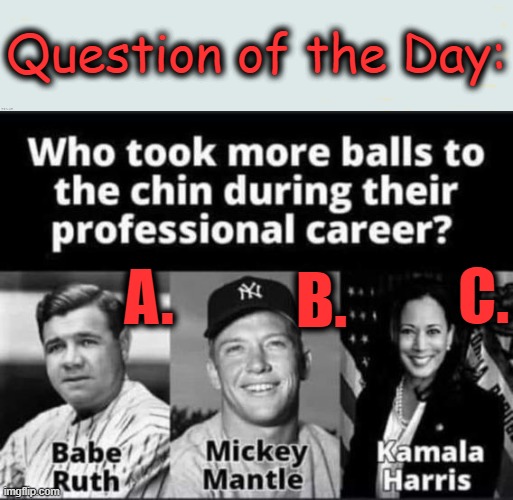 A, B or C ? | Question of the Day:; A. B. C. | image tagged in politics,kamala harris,easy rider,political humor,babe ruth or mickey mantle,imgflip humor | made w/ Imgflip meme maker