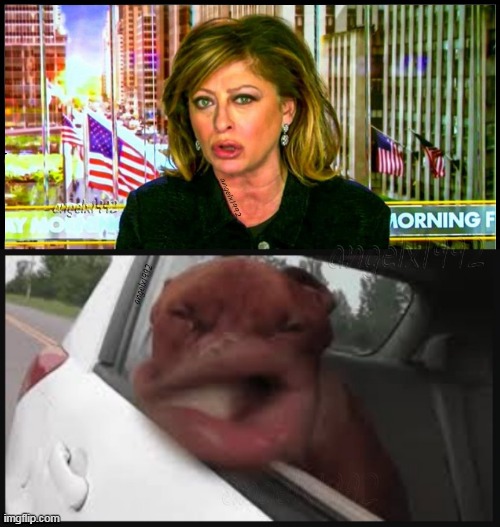 image tagged in dog,maria baritomo,faux news,lips,windy,clown car republicans | made w/ Imgflip meme maker