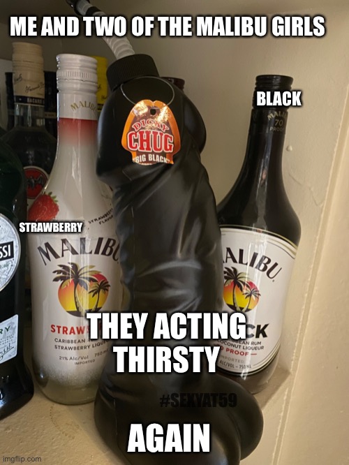 Me and the Malibu twins | ME AND TWO OF THE MALIBU GIRLS; BLACK; STRAWBERRY; THEY ACTING 
THIRSTY; #SEXYAT59; AGAIN | image tagged in big black dick,malibugirls,thirsty | made w/ Imgflip meme maker