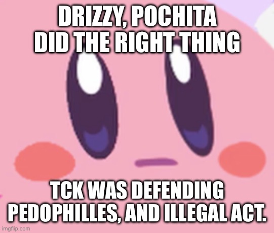 Blank Kirby Face | DRIZZY, POCHITA DID THE RIGHT THING; TCK WAS DEFENDING PEDOPHILLES, AND ILLEGAL ACT. | image tagged in blank kirby face | made w/ Imgflip meme maker