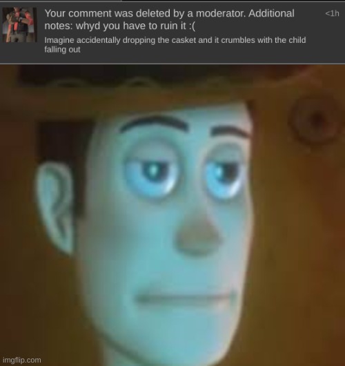 mf didn't have to delete my comment just to give me a message | image tagged in disappointed woody | made w/ Imgflip meme maker