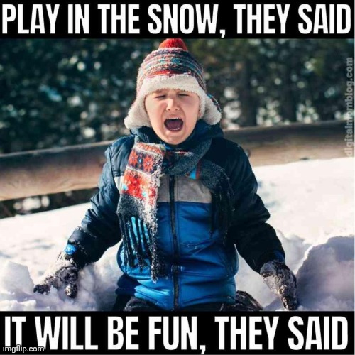 image tagged in snow | made w/ Imgflip meme maker