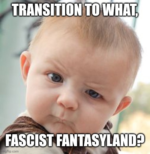 Skeptical Baby Meme | TRANSITION TO WHAT, FASCIST FANTASYLAND? | image tagged in memes,skeptical baby | made w/ Imgflip meme maker