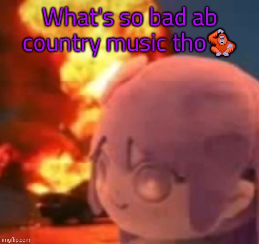 msmg | What's so bad ab country music tho🦧 | image tagged in msmg | made w/ Imgflip meme maker