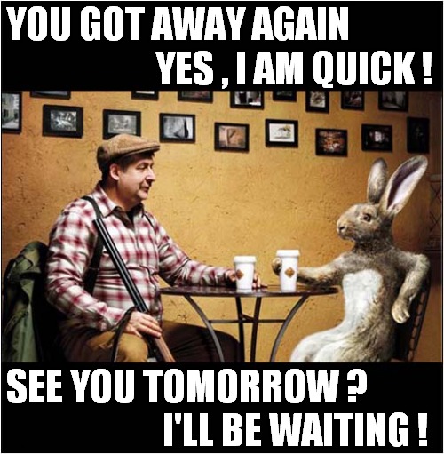 A Hunter High On Drugs Sees Giant Hare  ! | YOU GOT AWAY AGAIN 
                     YES , I AM QUICK ! SEE YOU TOMORROW ?
                      I'LL BE WAITING ! | image tagged in drugs,hallucinate,hunter,hare,dark humour | made w/ Imgflip meme maker