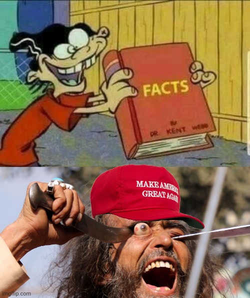 image tagged in double d facts book | made w/ Imgflip meme maker
