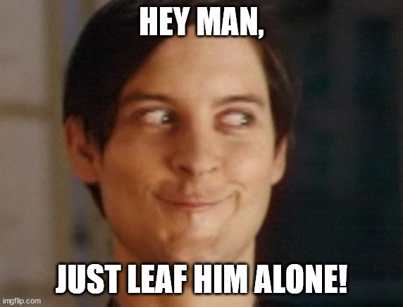 Spiderman Peter Parker Meme | HEY MAN, JUST LEAF HIM ALONE! | image tagged in memes,spiderman peter parker | made w/ Imgflip meme maker