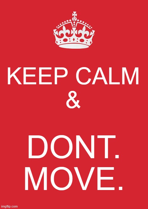 Pov: You talked back to your teacher | KEEP CALM
&; DONT. MOVE. | image tagged in memes,keep calm and carry on red | made w/ Imgflip meme maker