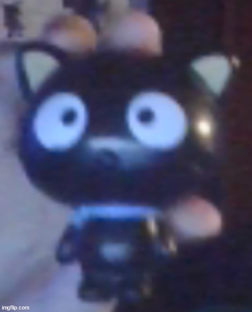 choco-cat figure (it's like 5 y/o now lmao) | made w/ Imgflip meme maker