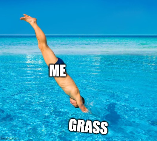 Me when somebody tells me to touch grass | ME; GRASS | made w/ Imgflip meme maker