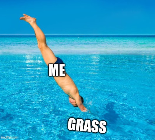 Me when somebody tells me to touch grass | made w/ Imgflip meme maker