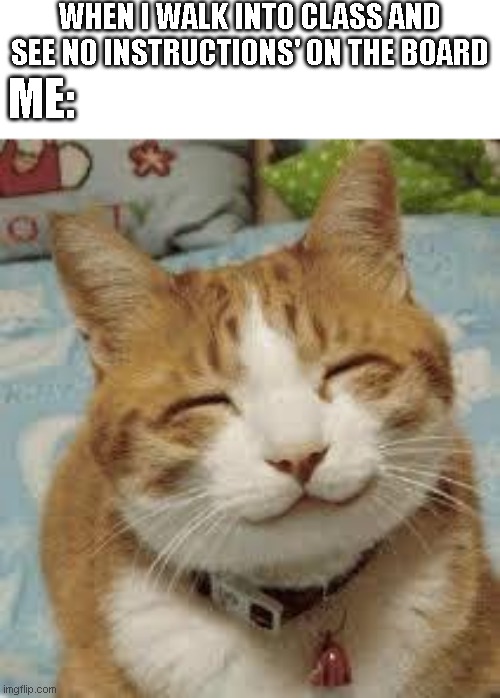 i always feel happy no matter what | WHEN I WALK INTO CLASS AND SEE NO INSTRUCTIONS' ON THE BOARD; ME: | image tagged in happy cat | made w/ Imgflip meme maker