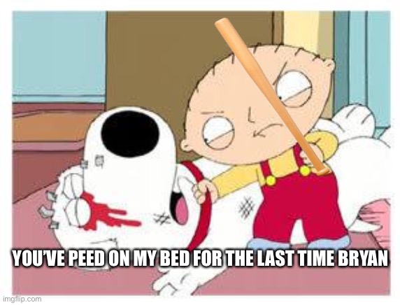 Brian's assault | YOU’VE PEED ON MY BED FOR THE LAST TIME BRYAN | image tagged in stewie where's my money,family guy | made w/ Imgflip meme maker