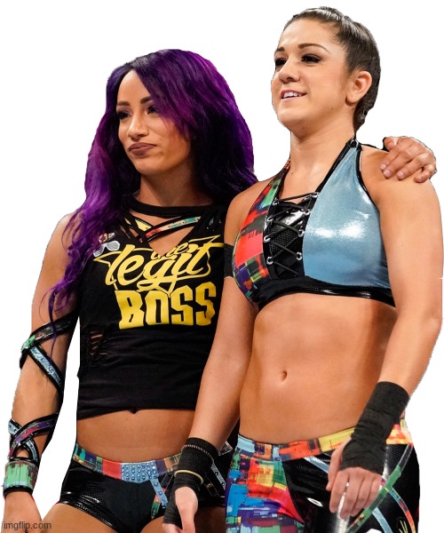 image tagged in sasha banks and bayley | made w/ Imgflip meme maker