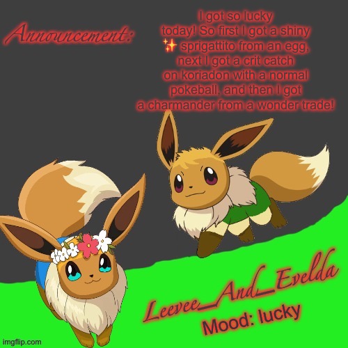 Leevee_And_Evelda temp | I got so lucky today! So first I got a shiny ✨ sprigattito from an egg, next I got a crit catch on koriadon with a normal pokeball, and then I got a charmander from a wonder trade! Mood: lucky | image tagged in leevee_and_evelda temp | made w/ Imgflip meme maker