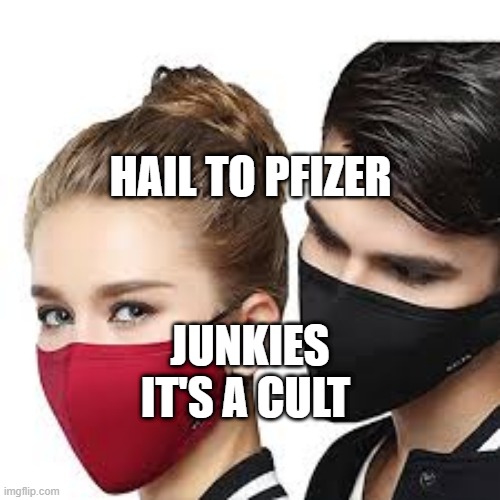 Mask Couple | HAIL TO PFIZER; JUNKIES IT'S A CULT | image tagged in mask couple | made w/ Imgflip meme maker