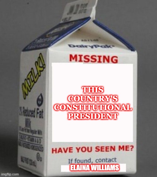 Milk carton |  THIS COUNTRY'S CONSTITUTIONAL PRESIDENT; ELAINA WILLIAMS | image tagged in milk carton | made w/ Imgflip meme maker