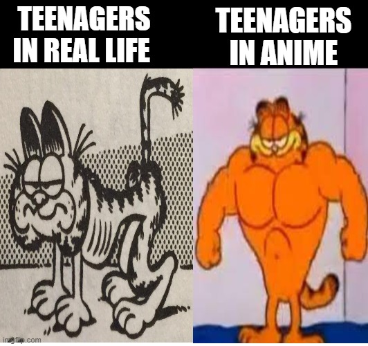 i'm just your average 15 year old high schooler | TEENAGERS IN REAL LIFE; TEENAGERS IN ANIME | image tagged in garfield | made w/ Imgflip meme maker