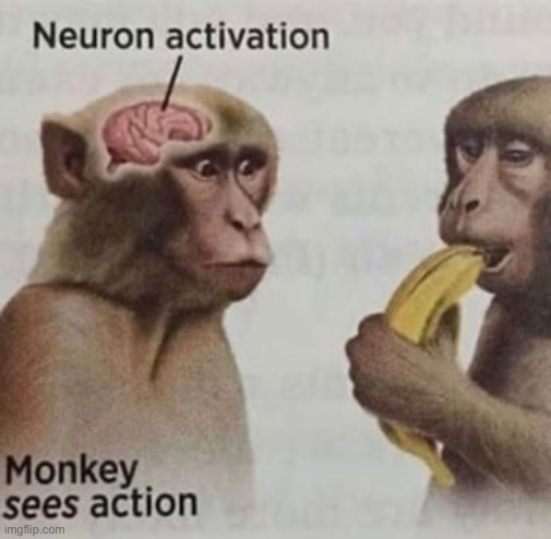 Neuron Activation | image tagged in neuron activation | made w/ Imgflip meme maker