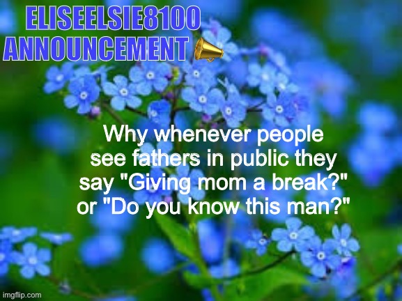 EliseElsie8100 Announcement | Why whenever people see fathers in public they say "Giving mom a break?" or "Do you know this man?" | image tagged in eliseelsie8100 announcement | made w/ Imgflip meme maker