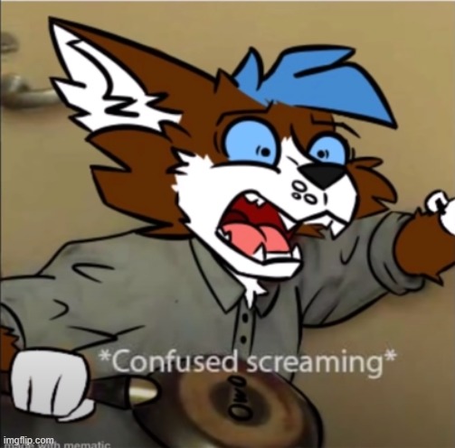 Confused furry screaming | image tagged in confused furry screaming | made w/ Imgflip meme maker