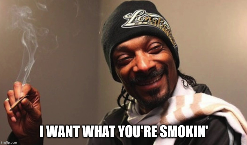 Snoop Dogg Wants Weed | I WANT WHAT YOU'RE SMOKIN' | image tagged in funny | made w/ Imgflip meme maker