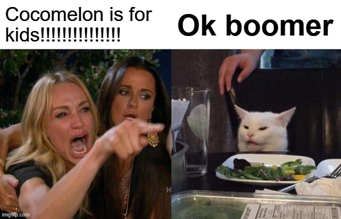 Woman Yelling At Cat | Cocomelon is for kids!!!!!!!!!!!!!!! Ok boomer | image tagged in memes,woman yelling at cat | made w/ Imgflip meme maker