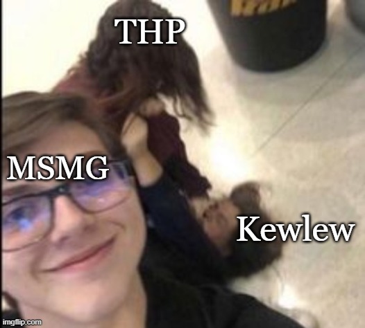 fight | THP; MSMG; Kewlew | image tagged in fight | made w/ Imgflip meme maker