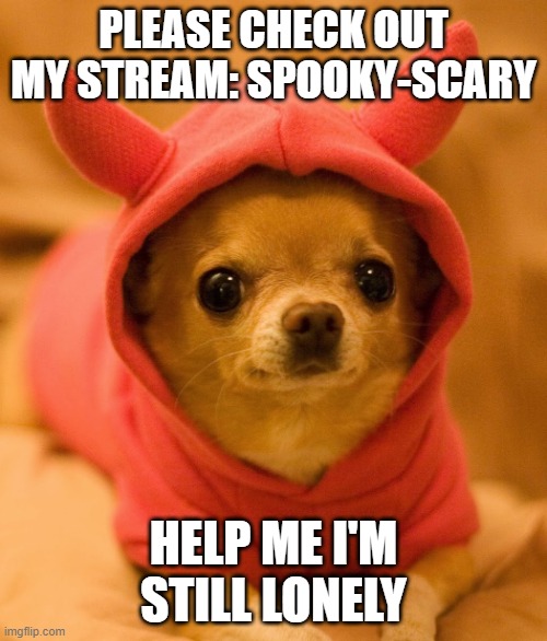 Please help | PLEASE CHECK OUT MY STREAM: SPOOKY-SCARY; HELP ME I'M STILL LONELY | image tagged in funny chihuahua | made w/ Imgflip meme maker