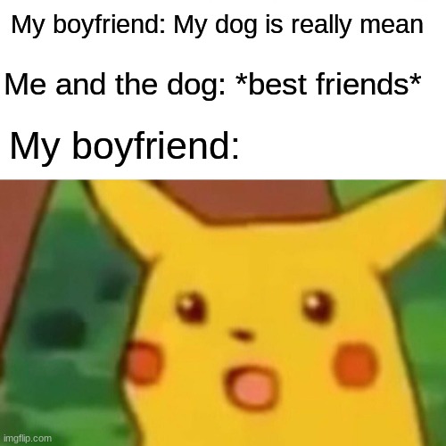 She's apparently super angry but she's a total sweetheart to me <3 | My boyfriend: My dog is really mean; Me and the dog: *best friends*; My boyfriend: | image tagged in memes,surprised pikachu,mlm | made w/ Imgflip meme maker