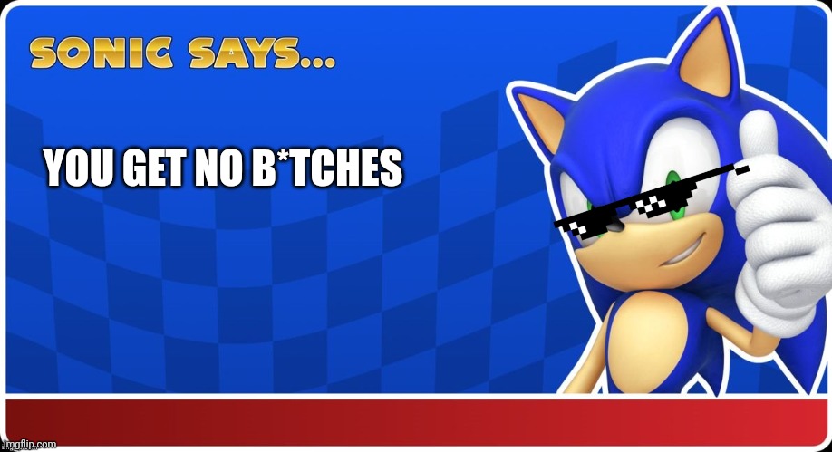 Sonic Says (S&ASR) | YOU GET NO B*TCHES | image tagged in sonic says s asr | made w/ Imgflip meme maker