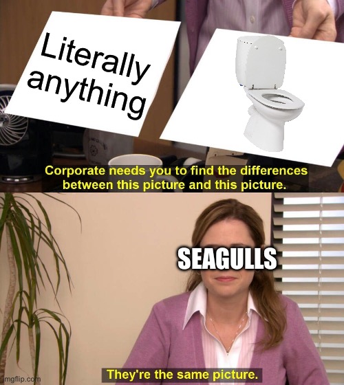 They are the same picture | Literally anything; SEAGULLS | image tagged in they are the same picture,seagull | made w/ Imgflip meme maker