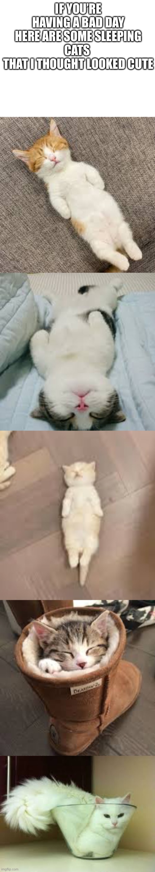 The last one hurts my neck by just looking at it | IF YOU’RE HAVING A BAD DAY
HERE ARE SOME SLEEPING CATS 
THAT I THOUGHT LOOKED CUTE | image tagged in cats | made w/ Imgflip meme maker