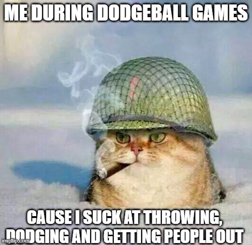 War Cat | ME DURING DODGEBALL GAMES; CAUSE I SUCK AT THROWING, DODGING AND GETTING PEOPLE OUT | image tagged in war cat | made w/ Imgflip meme maker