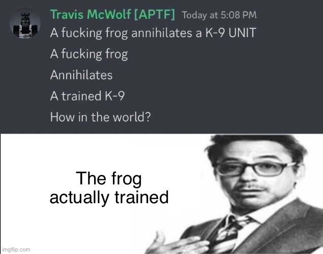Common sense because the frog doesn’t say the u word all the time | The frog actually trained | image tagged in robert downey jr's comments,balls,discord | made w/ Imgflip meme maker