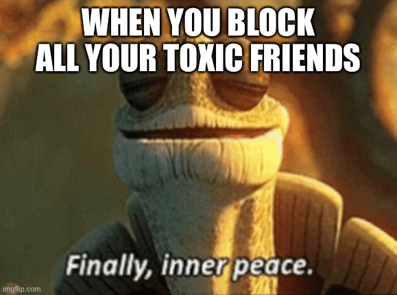 “Don’t you knooow that you’re toxic?” | WHEN YOU BLOCK ALL YOUR TOXIC FRIENDS | image tagged in finally inner peace | made w/ Imgflip meme maker