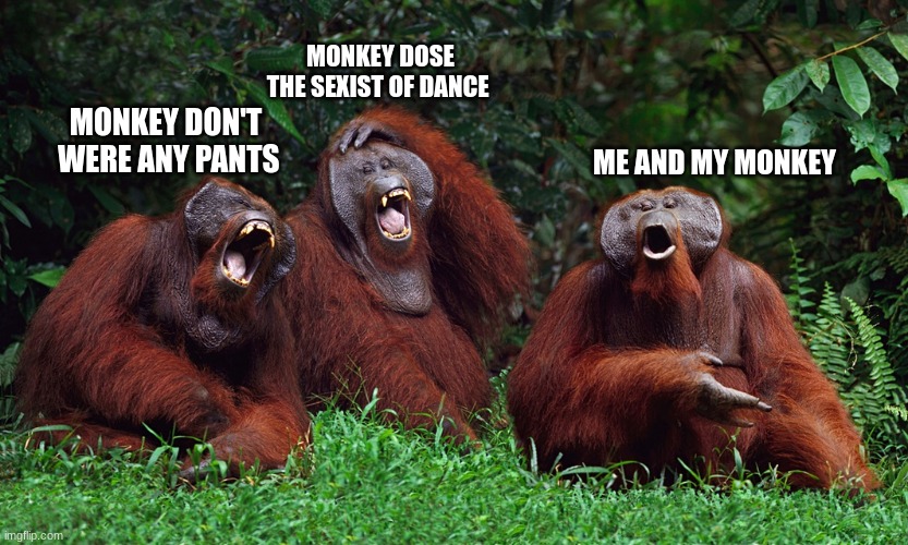 me and my monkey | MONKEY DOSE THE SEXIST OF DANCE; MONKEY DON'T  WERE ANY PANTS; ME AND MY MONKEY | image tagged in laughing orangutans | made w/ Imgflip meme maker