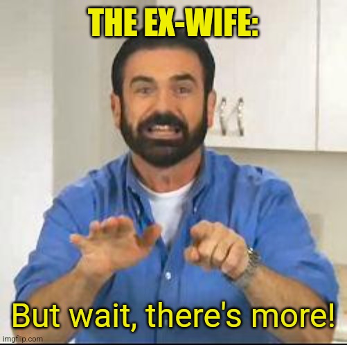 but wait there's more | THE EX-WIFE: But wait, there's more! | image tagged in but wait there's more | made w/ Imgflip meme maker