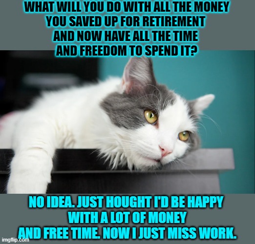 This #lolcat wonders if people realize their goals might not be their actual goals. | WHAT WILL YOU DO WITH ALL THE MONEY
YOU SAVED UP FOR RETIREMENT 
AND NOW HAVE ALL THE TIME 
AND FREEDOM TO SPEND IT? NO IDEA. JUST HOUGHT I'D BE HAPPY 
WITH A LOT OF MONEY
AND FREE TIME. NOW I JUST MISS WORK. | image tagged in lolcat,life goals,goals,dreams,retirement,think about it | made w/ Imgflip meme maker