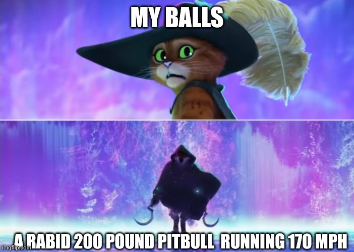 Big goofy | MY BALLS; A RABID 200 POUND PITBULL  RUNNING 170 MPH | image tagged in puss and boots scared,puss in boots,funny | made w/ Imgflip meme maker