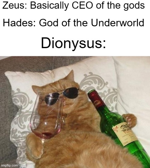 Wine and women and wonderful vices, welcome to the cult of, Dionysus! |  Zeus: Basically CEO of the gods; Hades: God of the Underworld; Dionysus: | image tagged in funny cat birthday | made w/ Imgflip meme maker