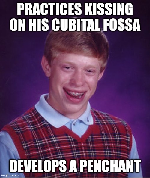 Brian practices kissing | PRACTICES KISSING ON HIS CUBITAL FOSSA; DEVELOPS A PENCHANT | image tagged in memes,bad luck brian,practice,kissing,cubital,fossa | made w/ Imgflip meme maker