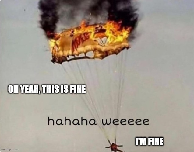 I'm Fine | OH YEAH, THIS IS FINE; I'M FINE | image tagged in weeee | made w/ Imgflip meme maker