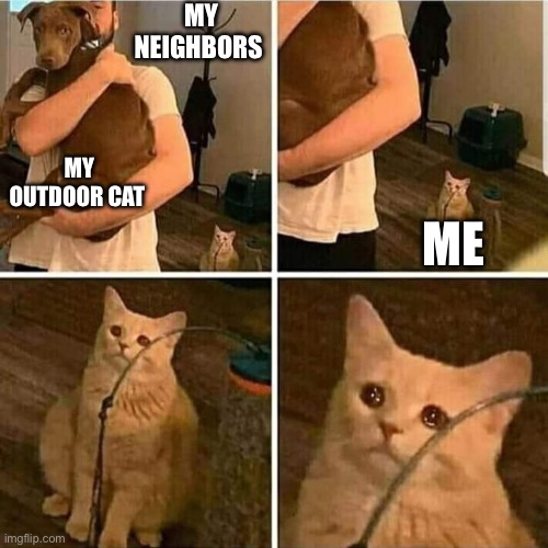 Stupid tuna | MY NEIGHBORS; MY OUTDOOR CAT; ME | image tagged in sad cat holding dog | made w/ Imgflip meme maker