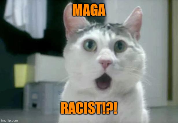 OMG Cat Meme | MAGA RACIST!?! | image tagged in memes,omg cat | made w/ Imgflip meme maker