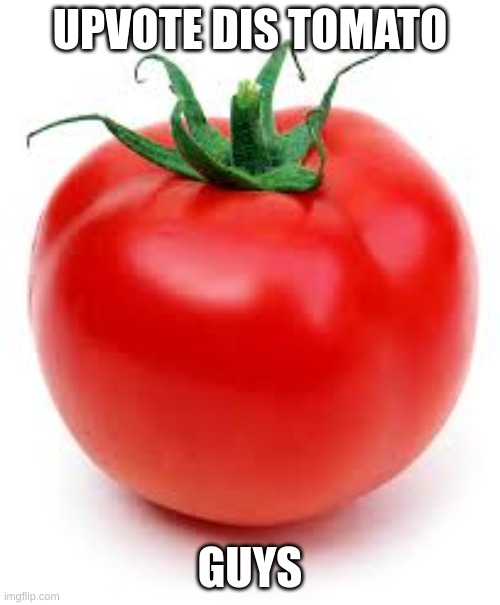 tomato | UPVOTE DIS TOMATO; GUYS | image tagged in tomato | made w/ Imgflip meme maker