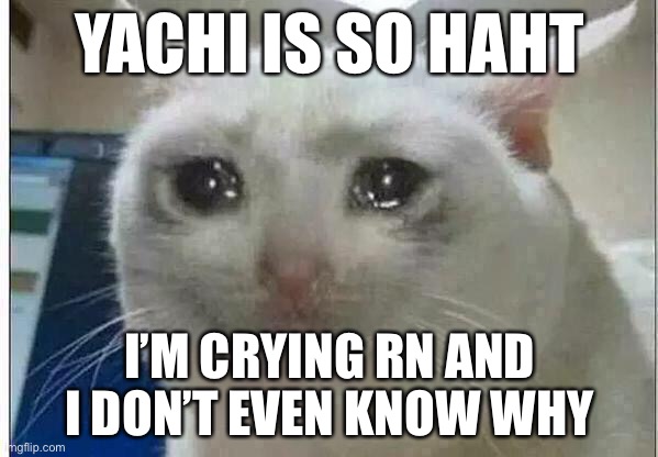 THE HAND ONG?!?! | YACHI IS SO HAHT; I’M CRYING RN AND I DON’T EVEN KNOW WHY | image tagged in crying cat | made w/ Imgflip meme maker